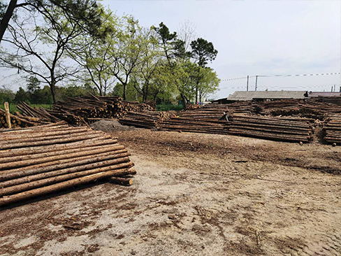 圓木樁在土壤加固工程中的技術特點？