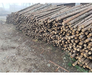 支撐桿使用是否符合綠色建筑標準？